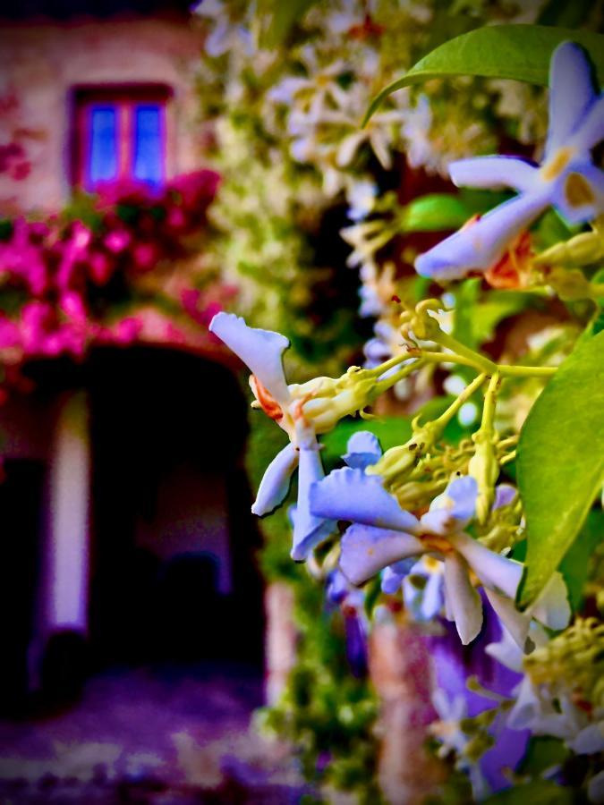 Podere Di Belforte Bagno a Ripoli Екстериор снимка