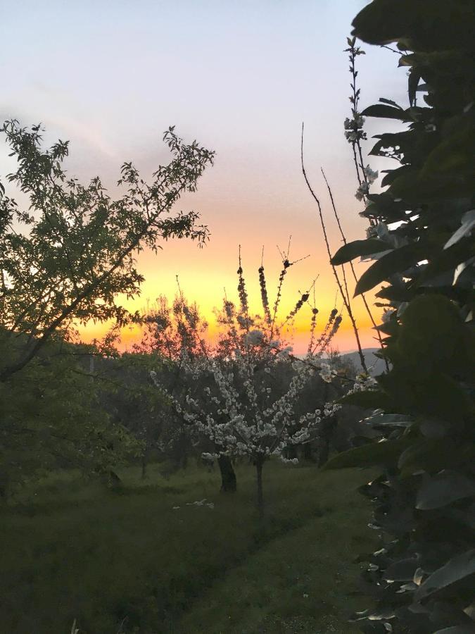 Podere Di Belforte Bagno a Ripoli Екстериор снимка