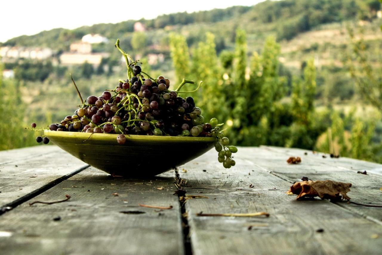 Podere Di Belforte Bagno a Ripoli Екстериор снимка